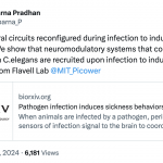 How are neural circuits reconfigured during infection to induce sickness behaviors?